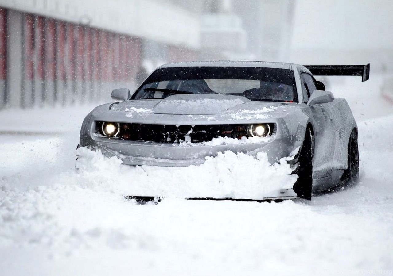 Car snowbunny
