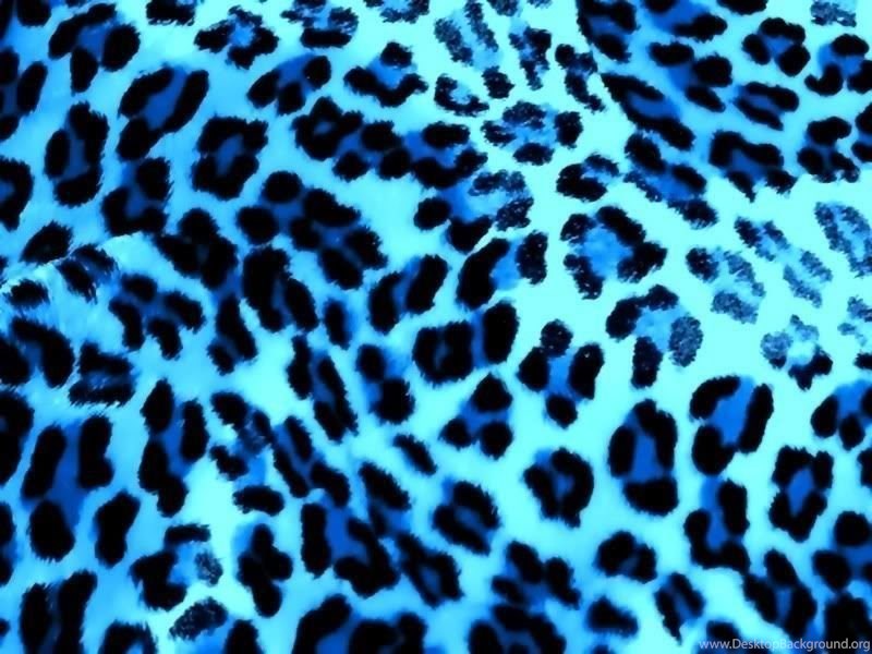 Black honey leopard outfit ebony cumshots