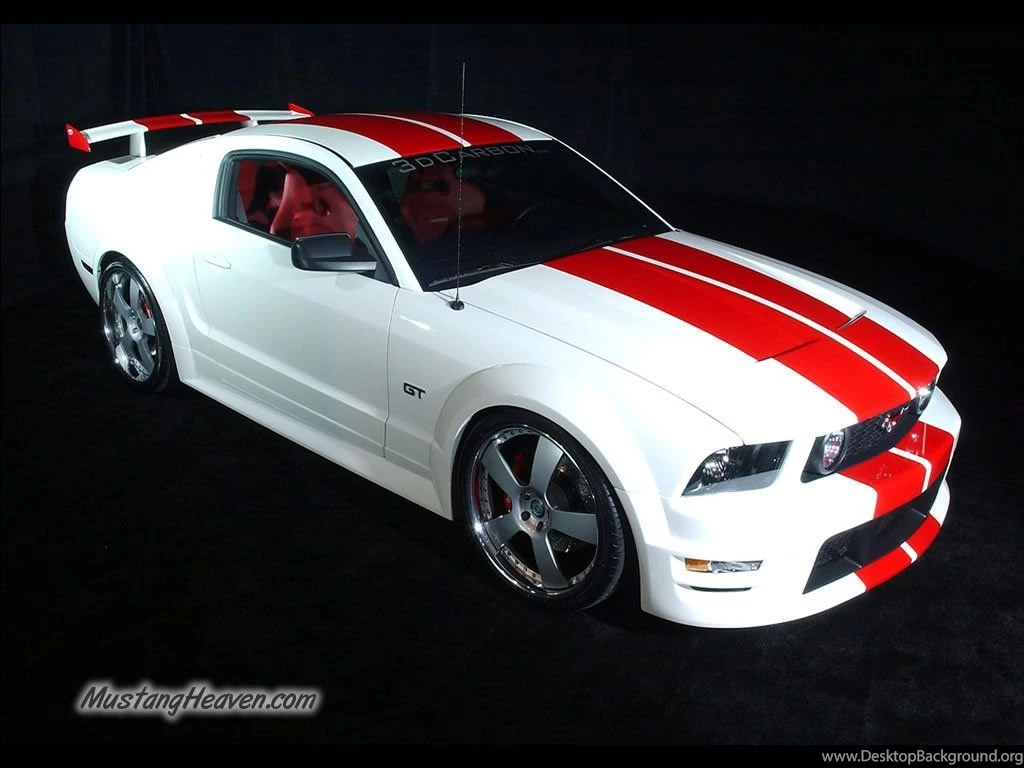 Mustang Wallpapers Mustangs Wallpapers Fanpop Desktop Background