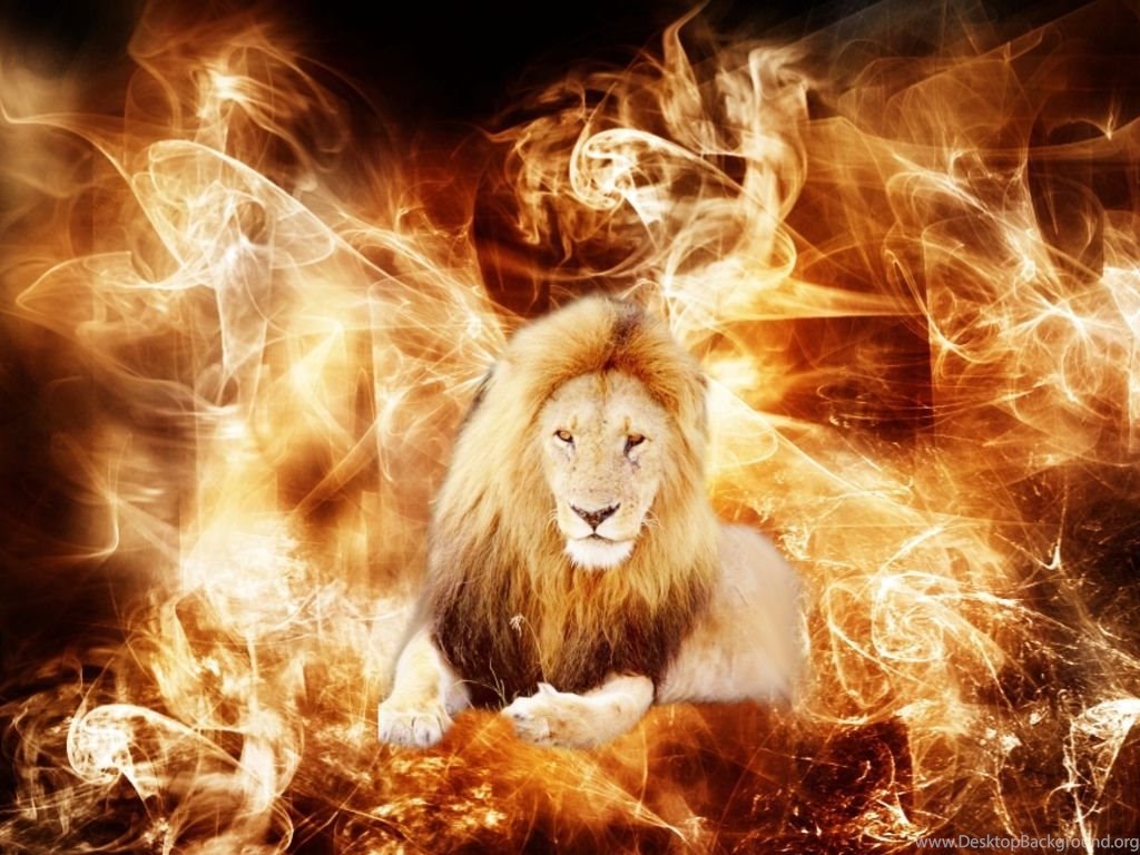 Wallpapers Cool Lion Pictures Animal D 1360x768 Desktop Background