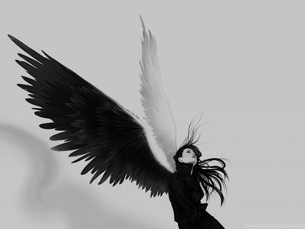 Cool Angel Wallpapers HD Wallpapers Desktop Background