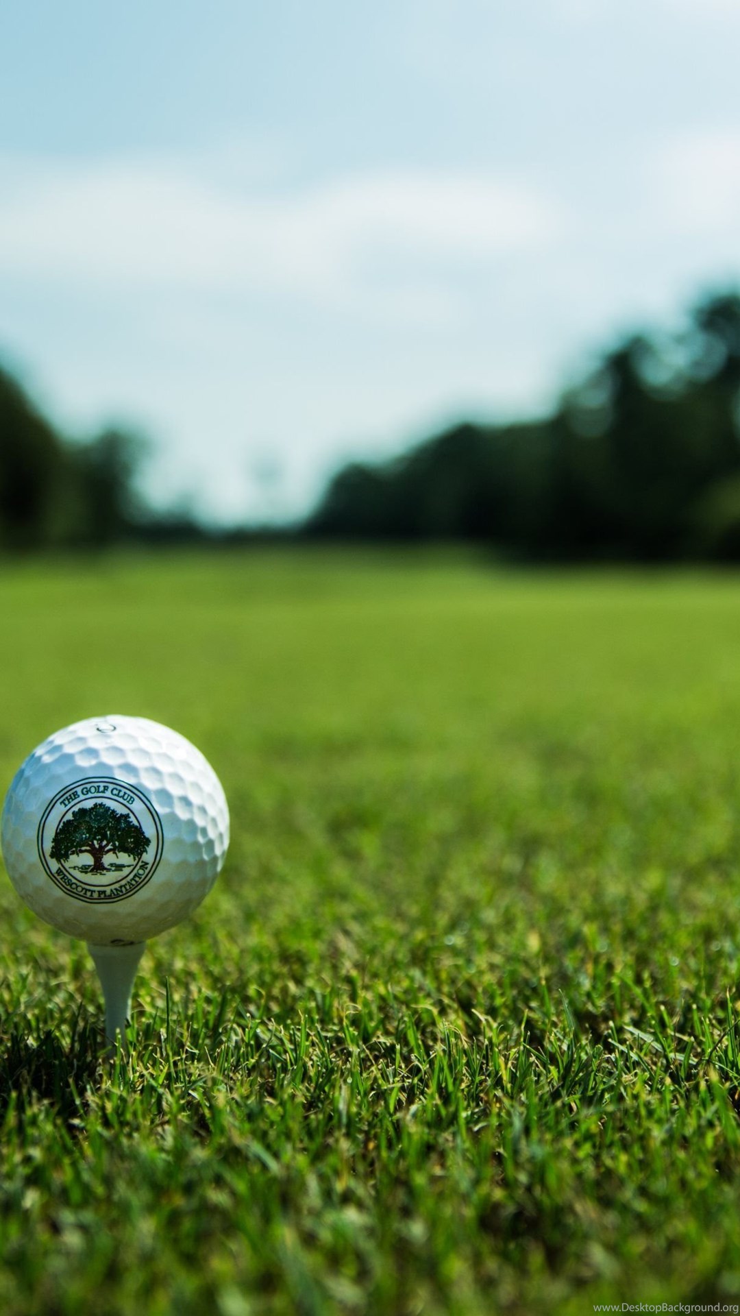 On The Golf Course Wallpapers :: HD Wallpapers Desktop Background