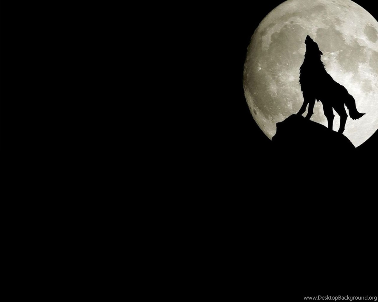 3d Wolf Wallpapers 19x10 Wallpapers 19x10 Wallpapers Desktop Background