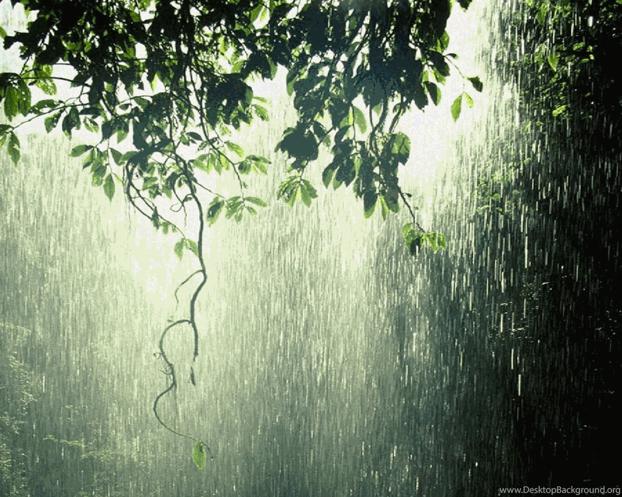 Raining In Forest Computer Wallpapers, Desktop Backgrounds ... Desktop ...