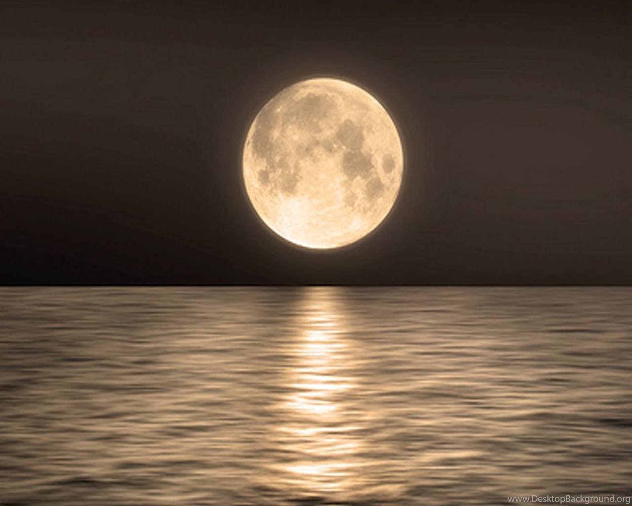 Full Moon Over Ocean At Night Wallpapers Desktop Background