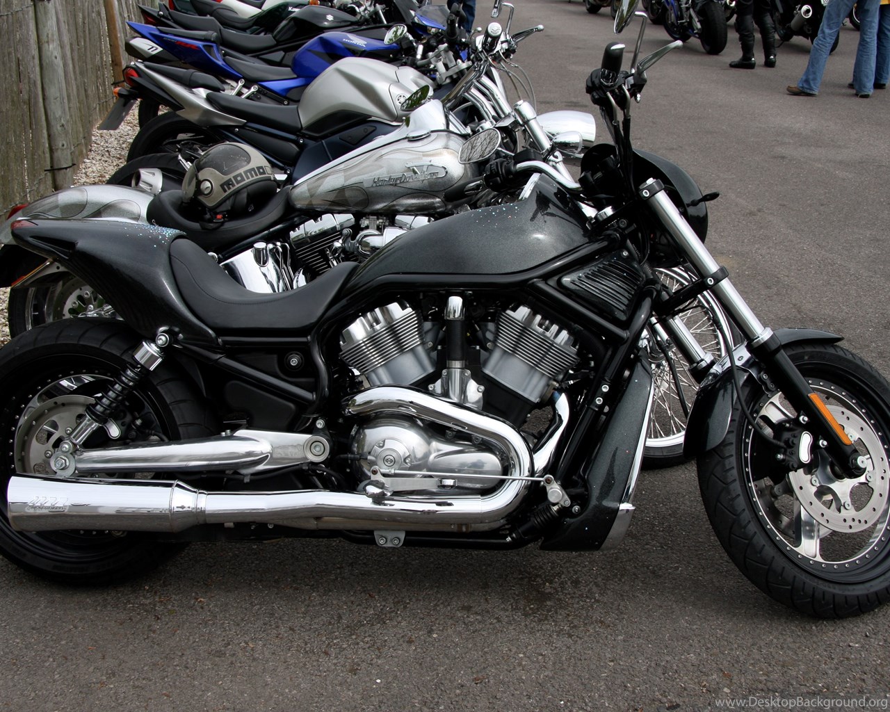 Black Beast Harley Davidson Bike Fabulous Hd Wallpapers Desktop