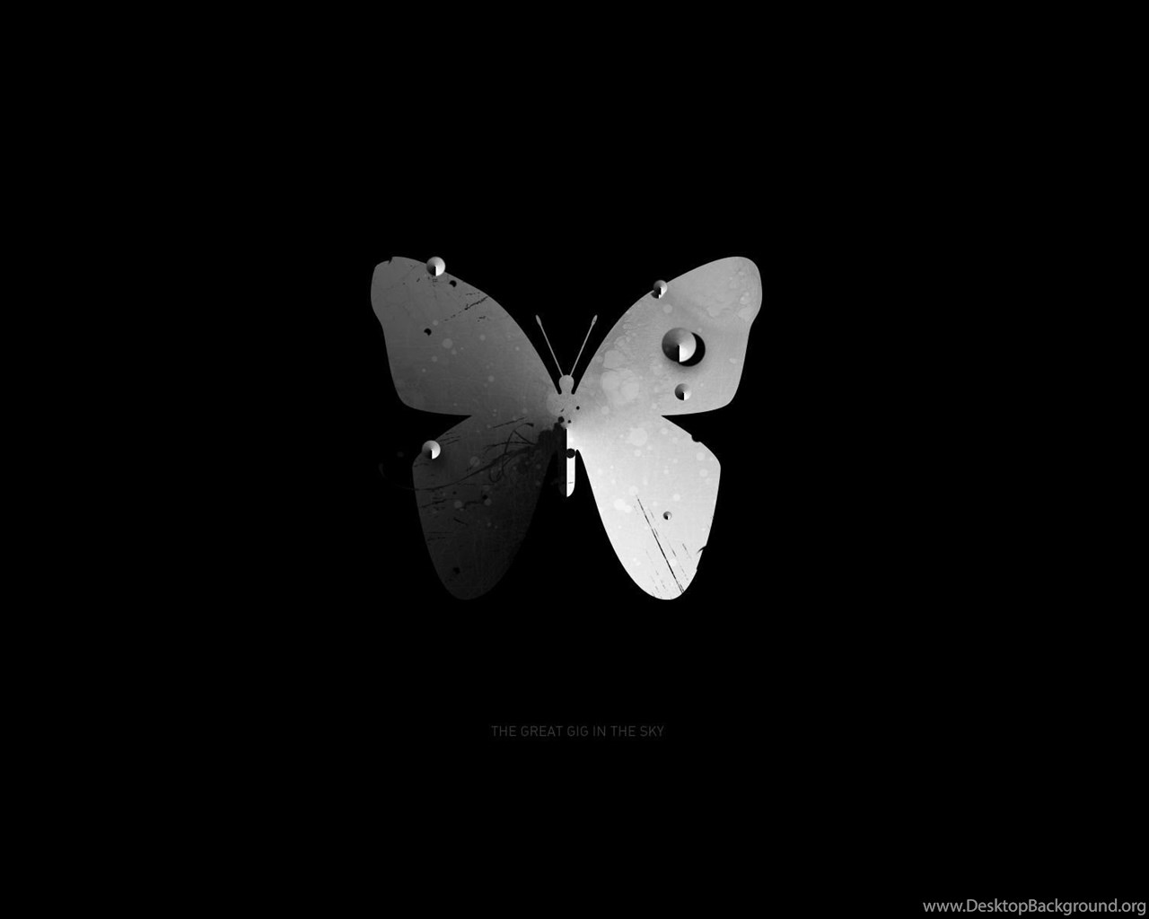 Butterfly Digital Art 1920x1200 Hd Wallpapers And Free Stock