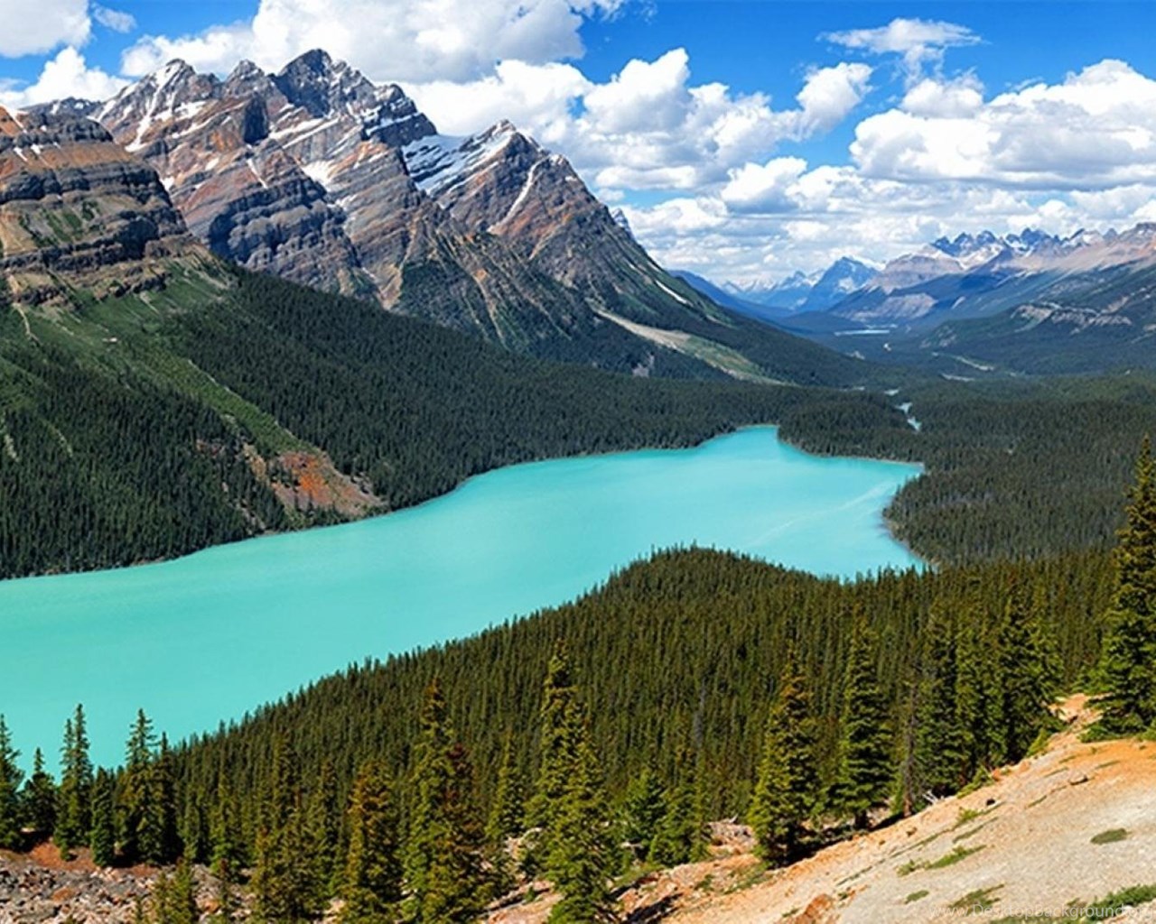 National Park Canada Peyto Lake Rocky Mountains Wallpapers Desktop ...