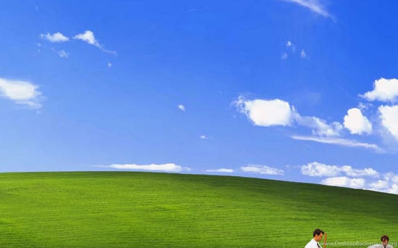 Download Funny Bliss Windows Xp iPad 3,4 & Air Wallpapers Widescreen Wi...