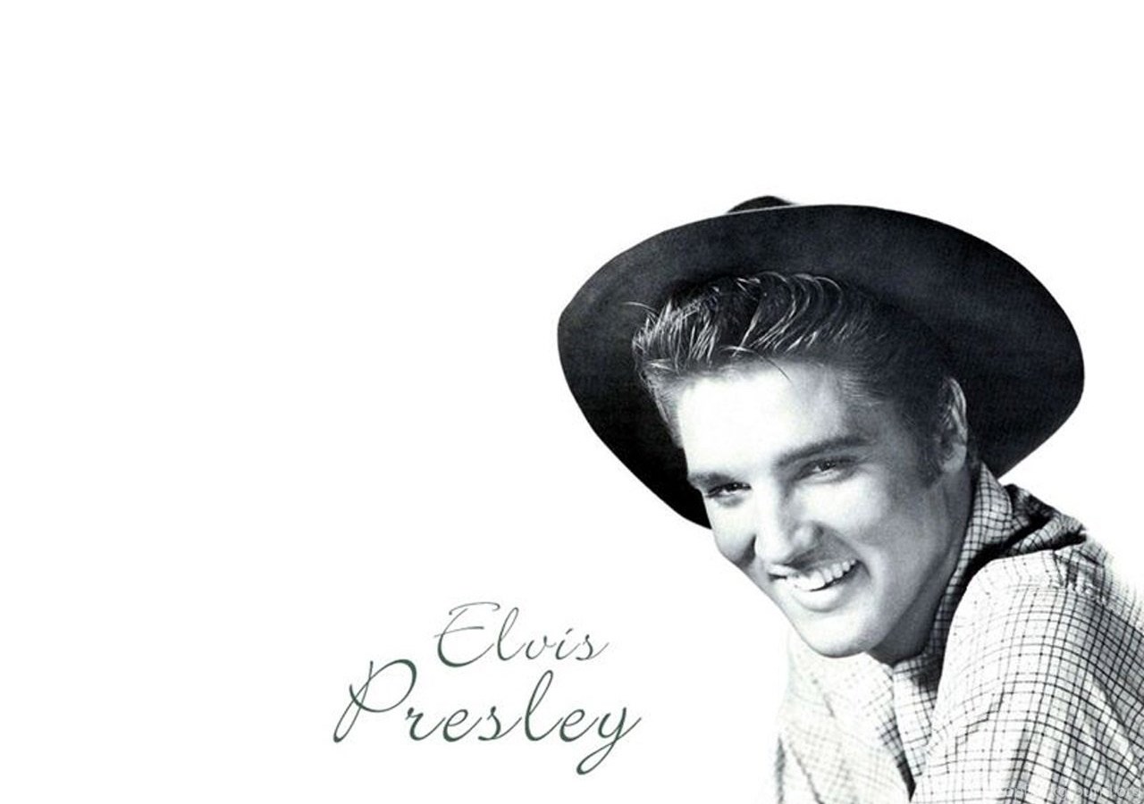 Elvis presley loving elvis. Элвис Пресли. Элвис Пресли Love me tender. Elvis Presley в молодости. Утка Элвис Пресли.