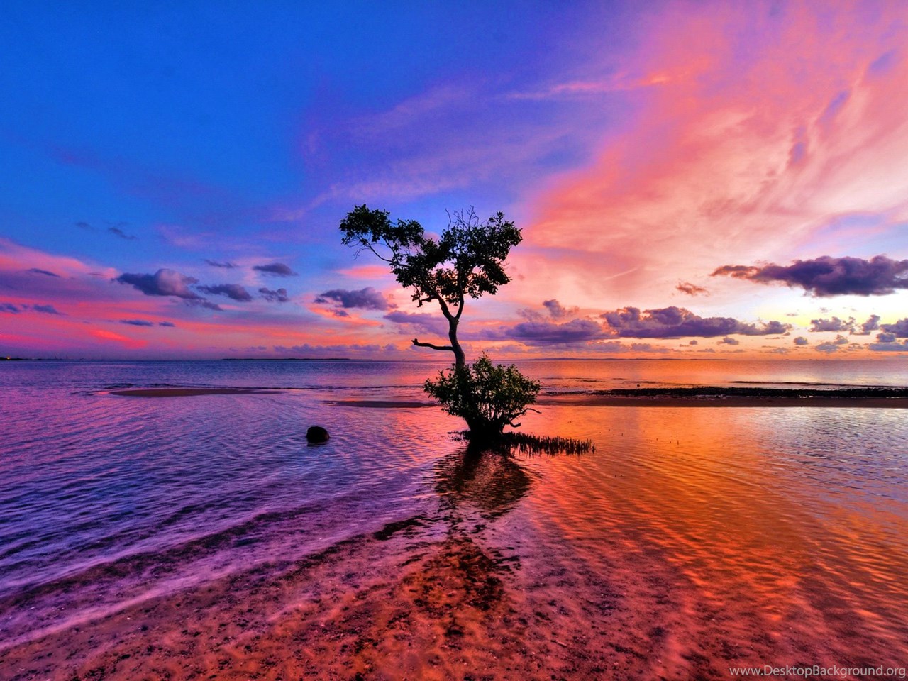 Pink Beach Sunset Desktop Wallpapers Desktop Background