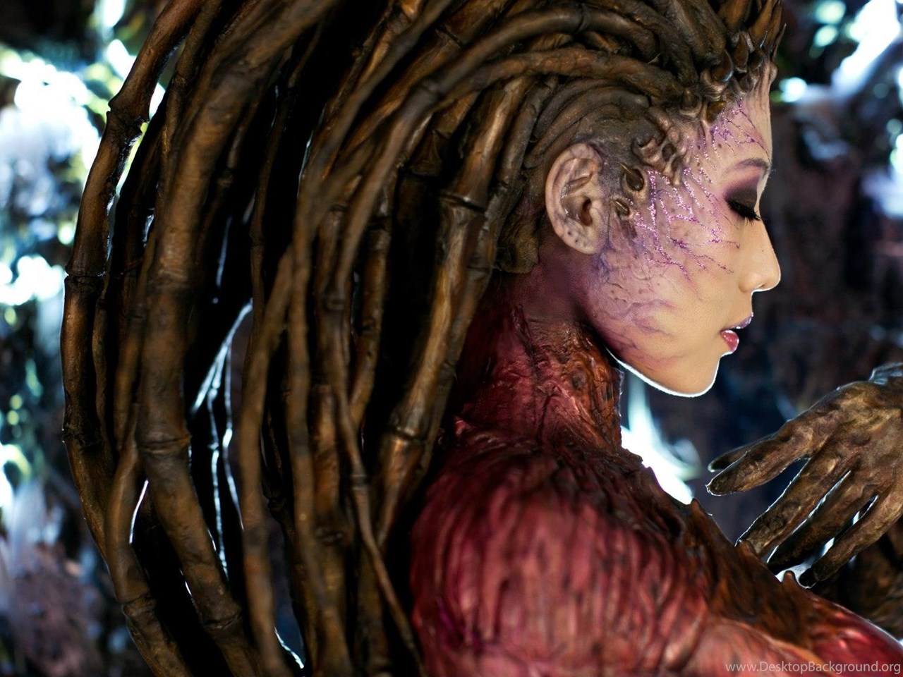 Kerrigan steam profile фото 8