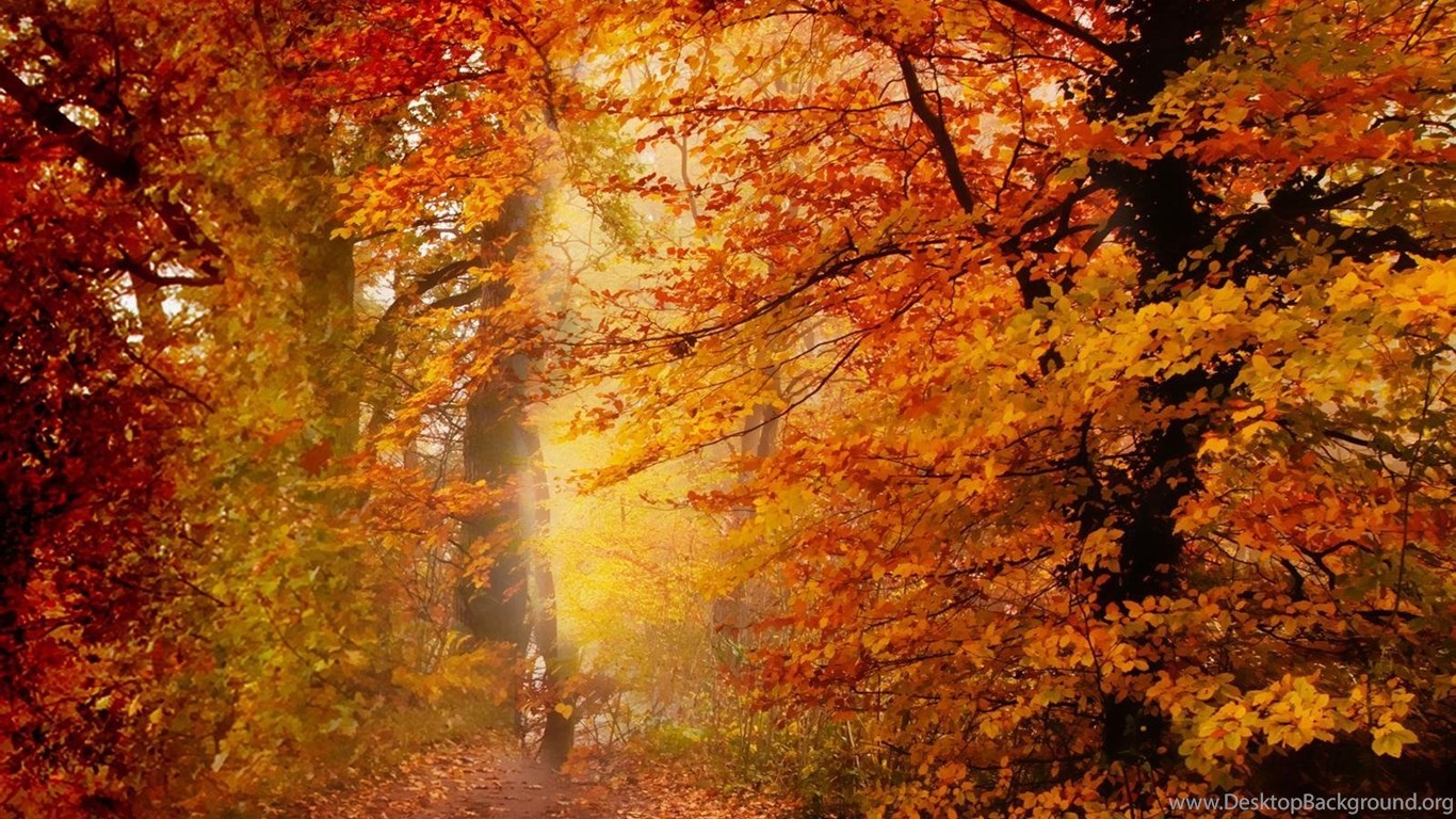 Free Animated Autumn Season Wallpapers Photos Of Grab Back Your ...