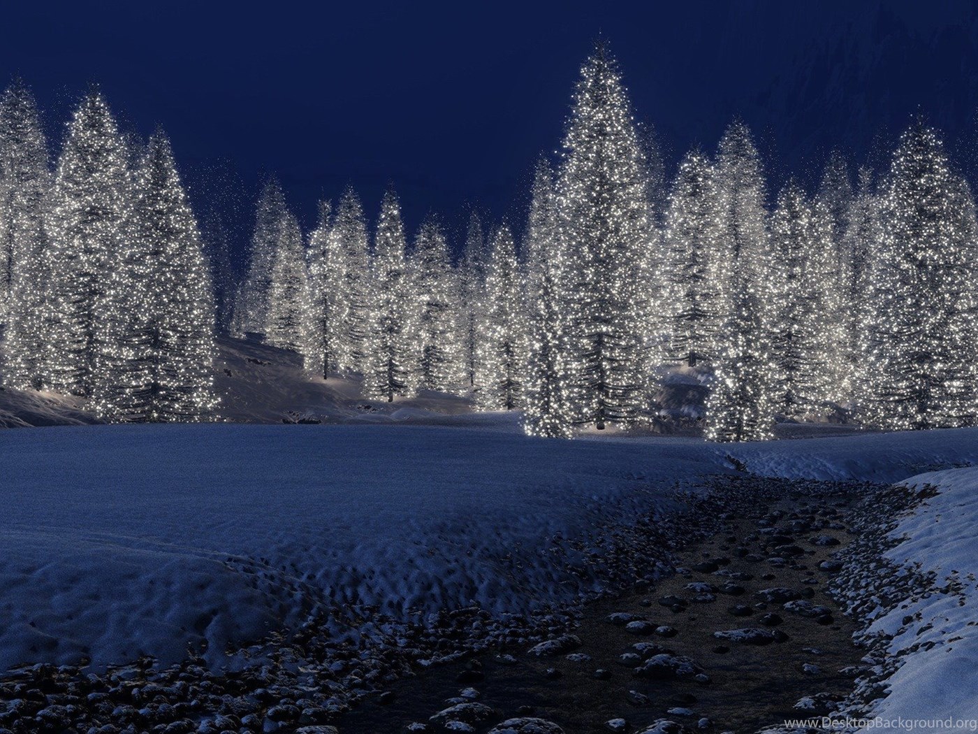 Wallpapers 1920x1080 The Forest Of Glowing Christmas Tree At Night ...