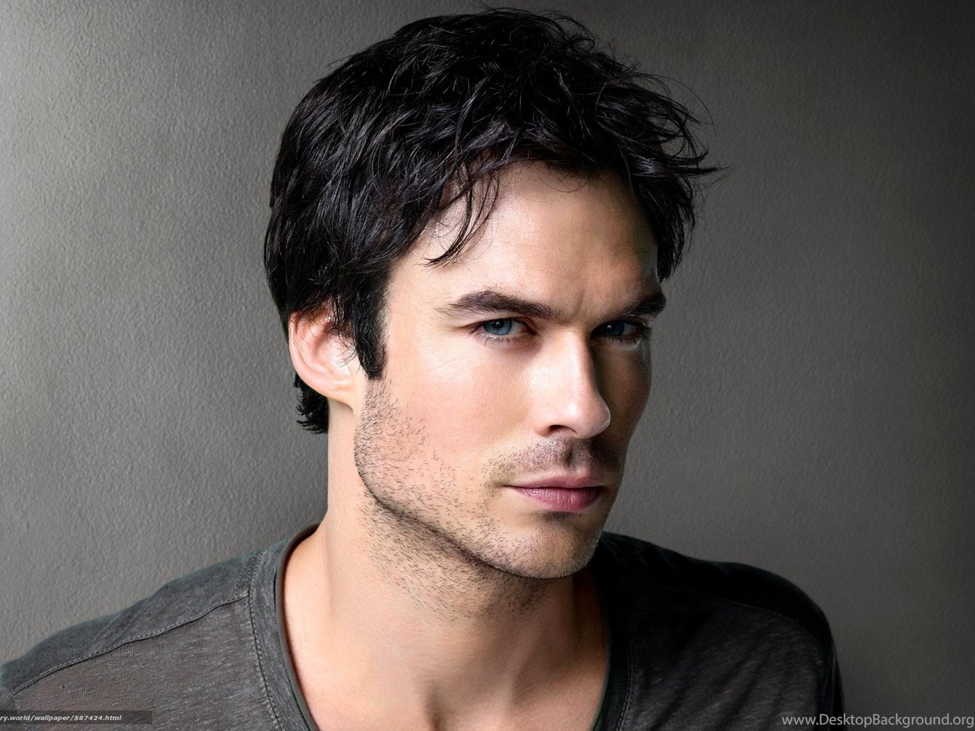 TV Series, Damon Salvatore, Actor, The Vampire Diaries, Ian ... Desktop ...