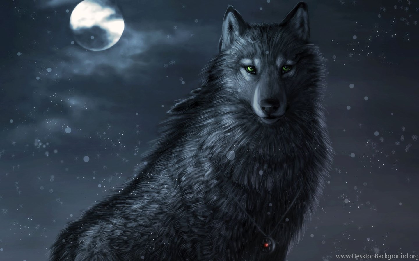 803 Wolf Hd Wallpapers Desktop Background