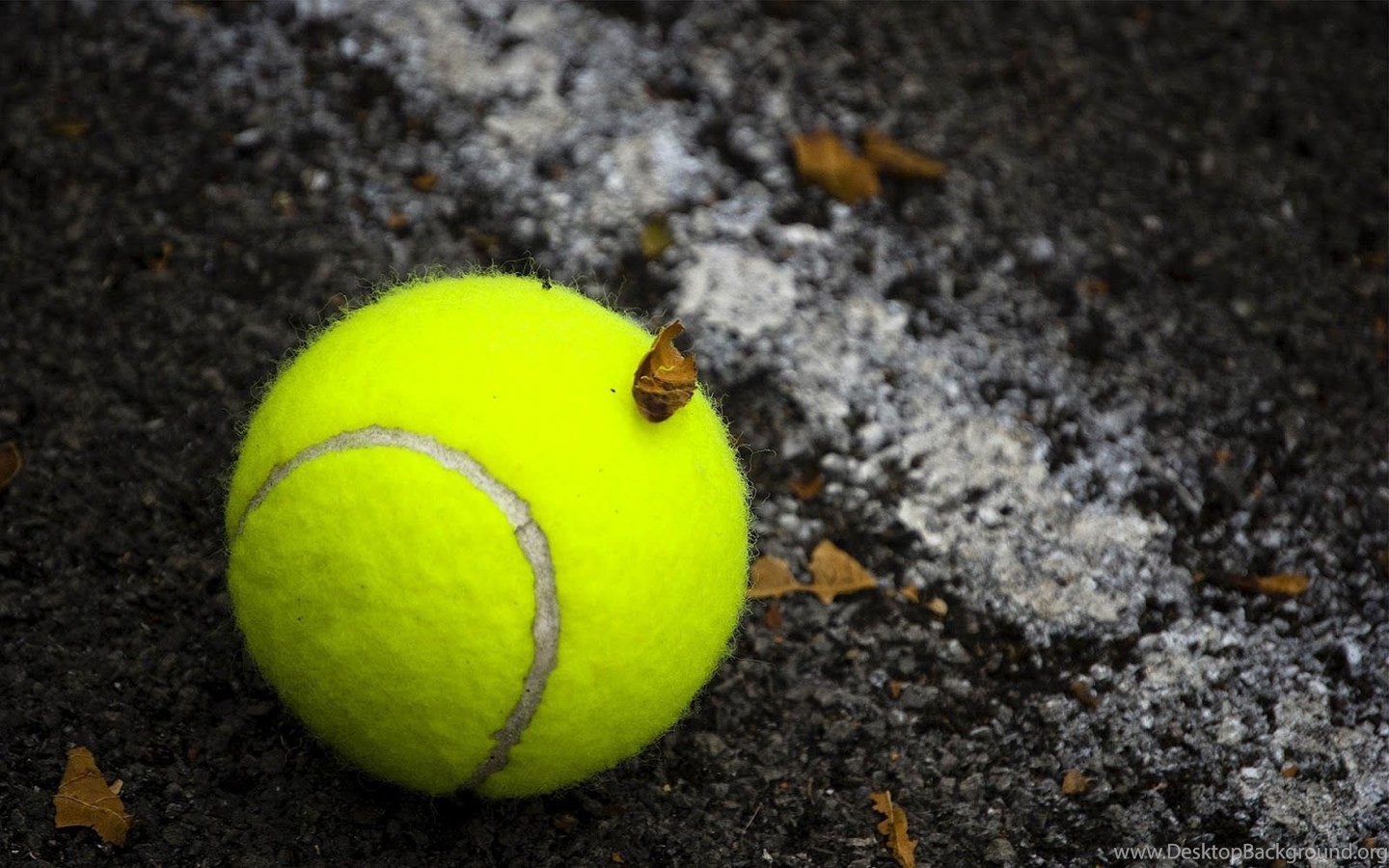 Best tennis deals wallpapers