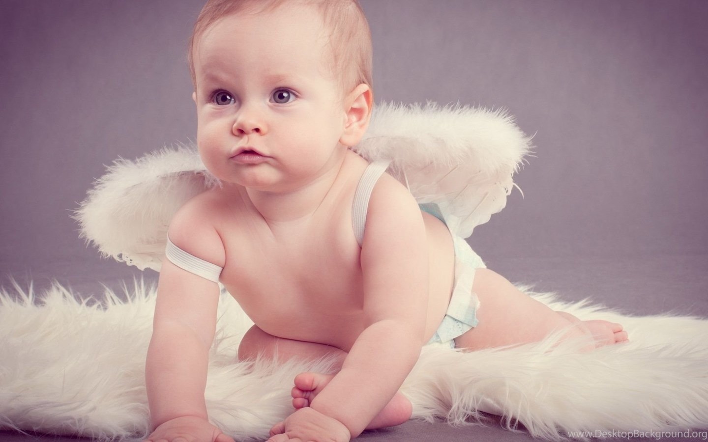 Cute Angel Desktop Wallpapers, Cute Angel Images, New Wallpapers ...