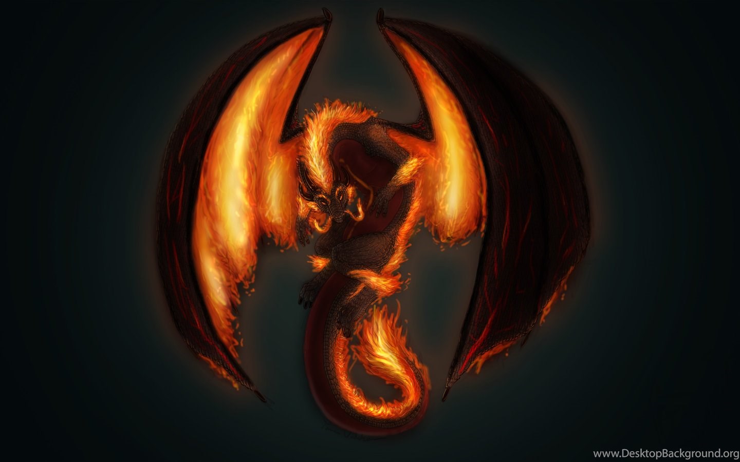 Top 50 HD Dragon Wallpapers, Images, Backgrounds, Desktop ... Desktop ...