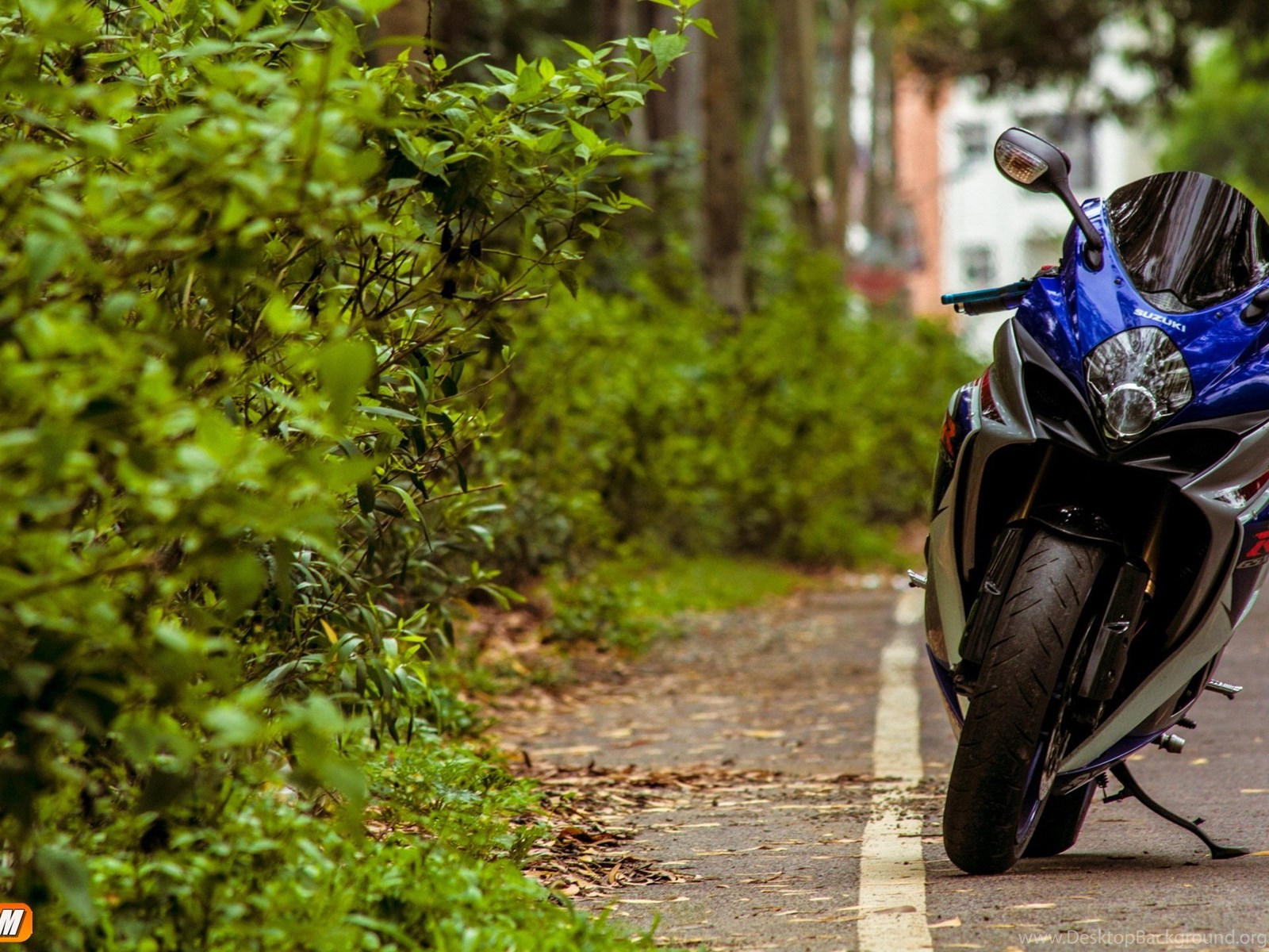 Suzuki GSXR 1000 обои на телефон