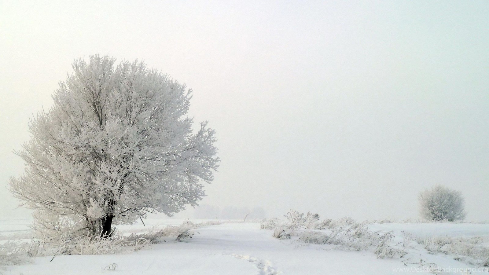 White Nature Landscape Wallpapers HD Desktop Background