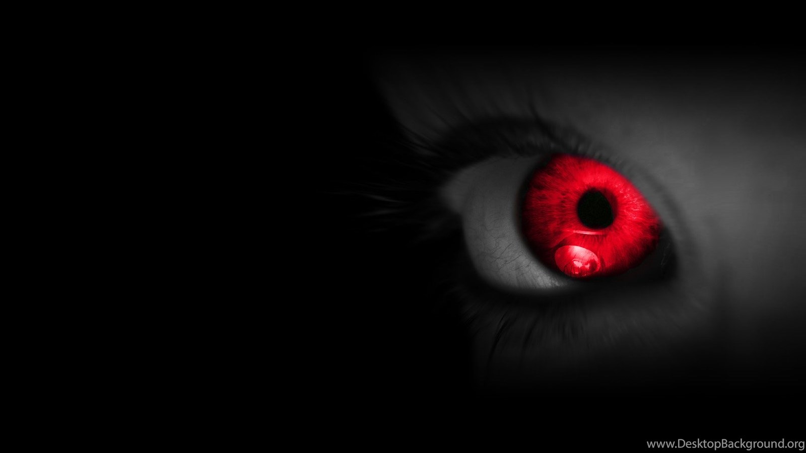 Red Eyes Latest HD Wallpapers Free Download Desktop Background