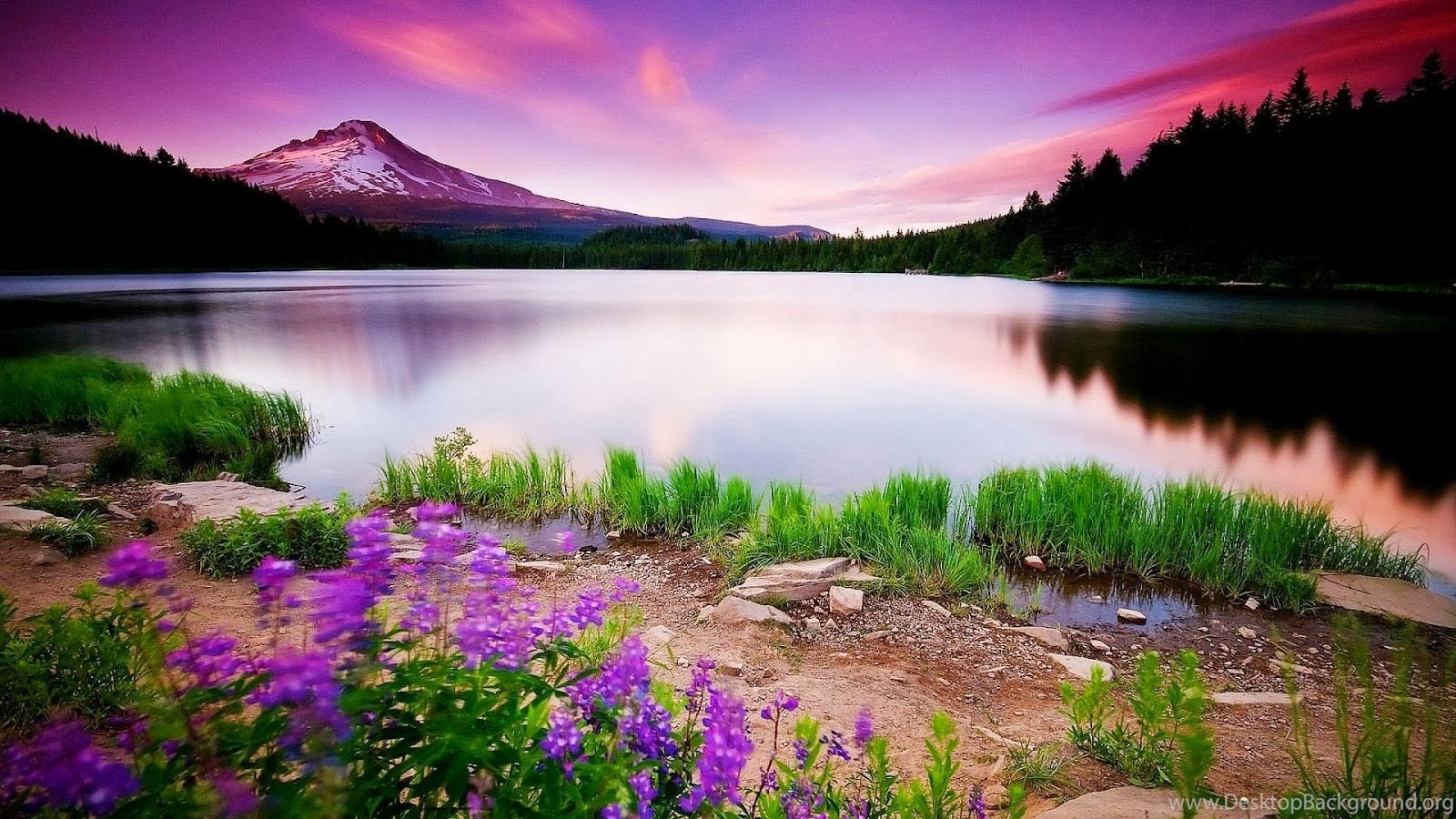 Nature Wallpapers Hd Download Widescreen Hd Wallpapers Desktop