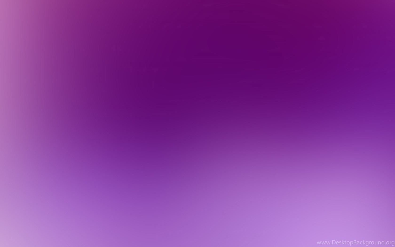 PURPLE WALLPAPER CUTE WF1M008 Desktop Background