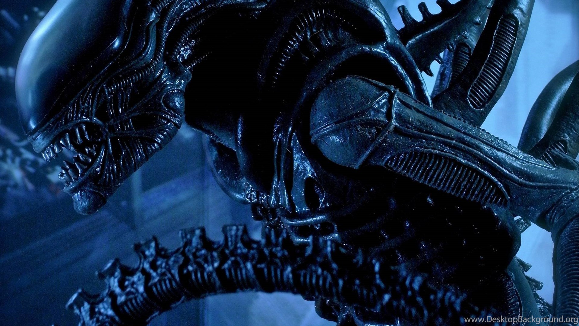 Aliens movie 2160x2880 wallpaper 810308.jpg Desktop Background