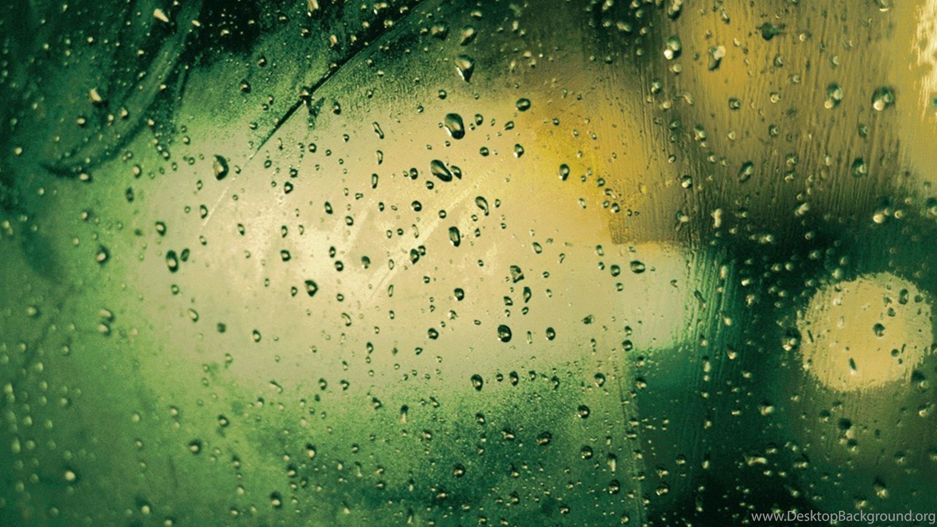 Green Rainy Day HD Abstract Wallpapers Desktop Background