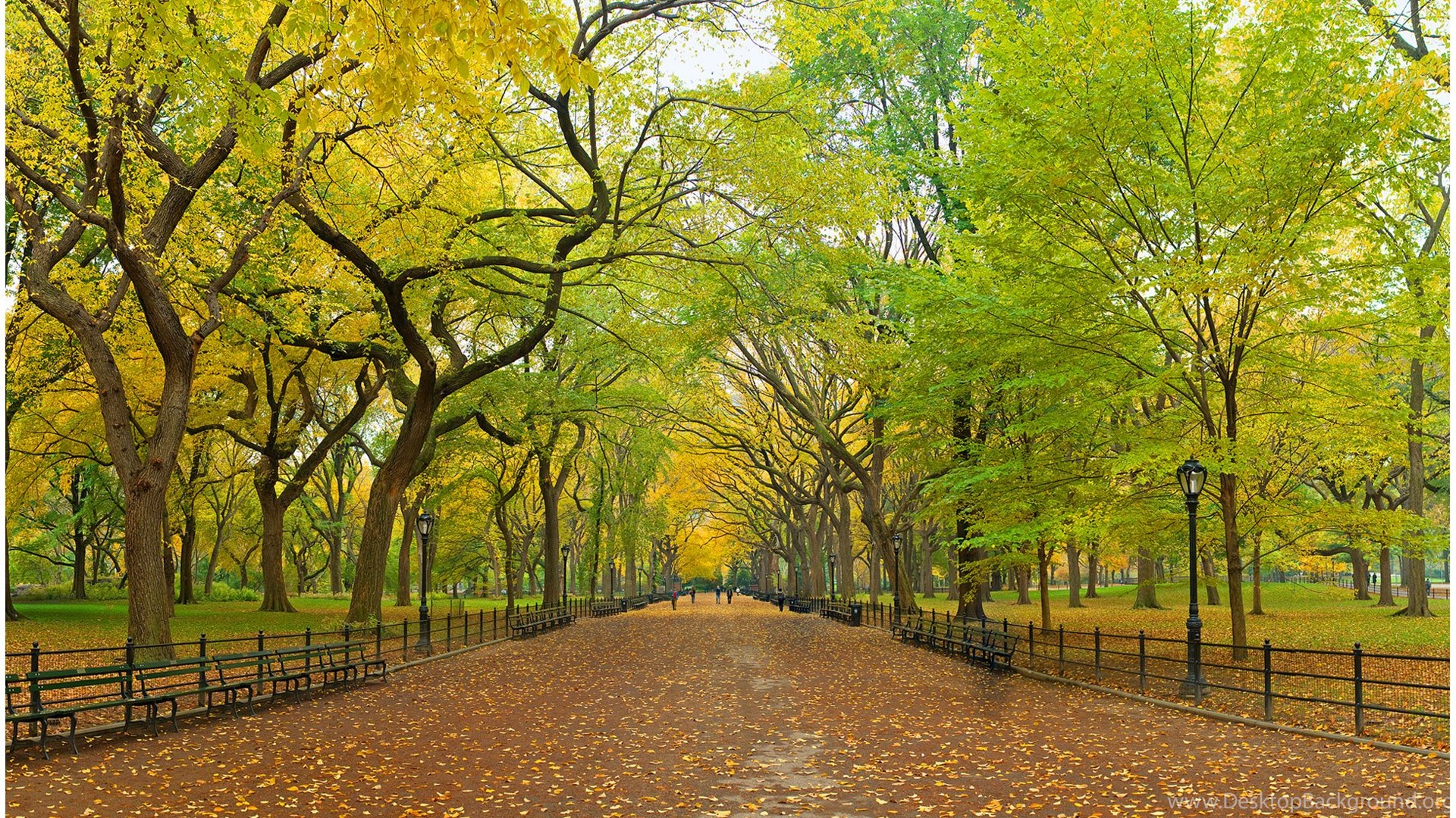 Central park new york wallpaper 215.jpg Desktop Background