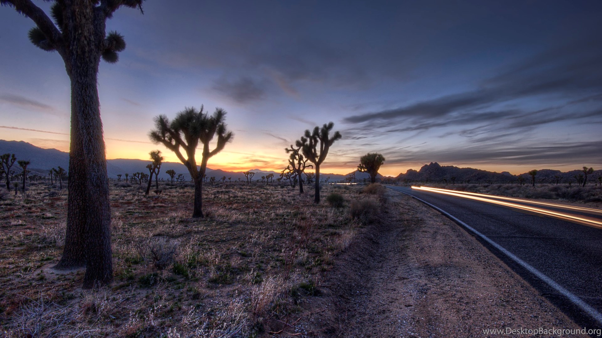 The Desert Road Wallpaper Backgrounds Desktop Background