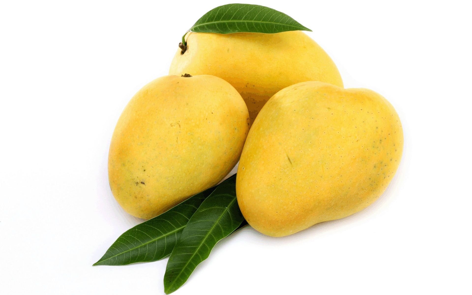 <b>Mango</b> tr. 