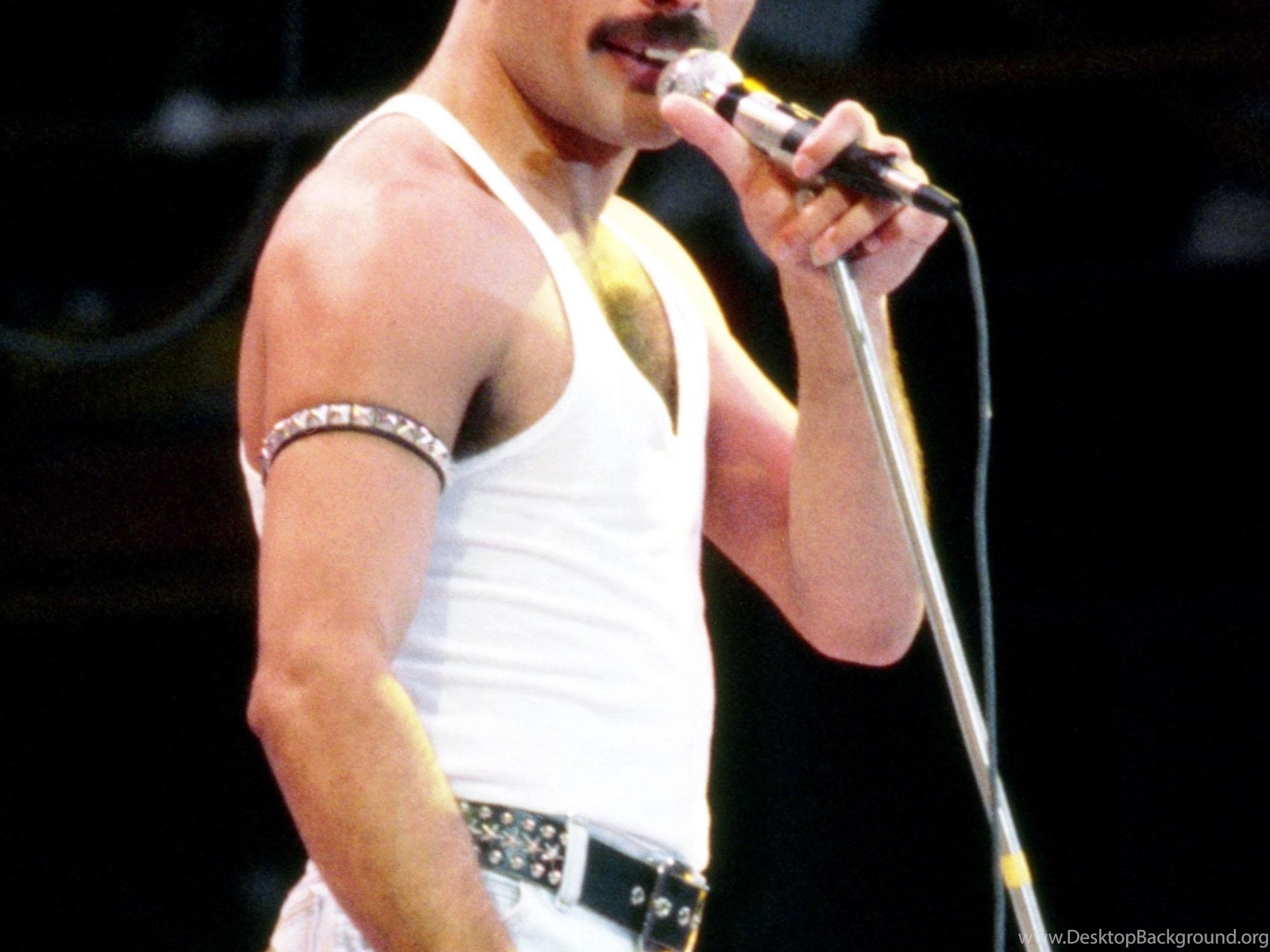 Adam Lambert Freddie Mercury