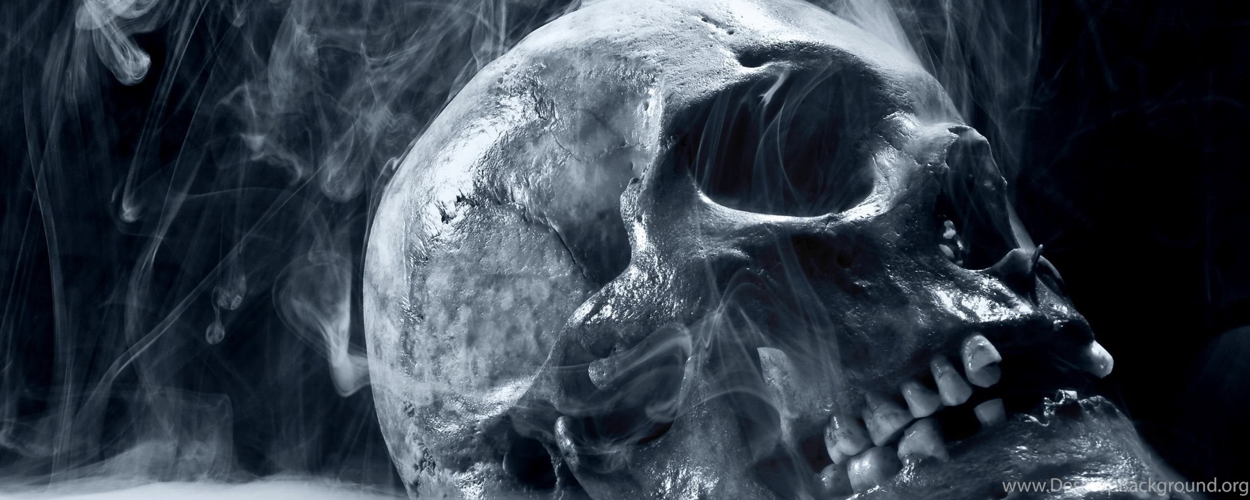 Hd Skull Wallpapers Desktop Background