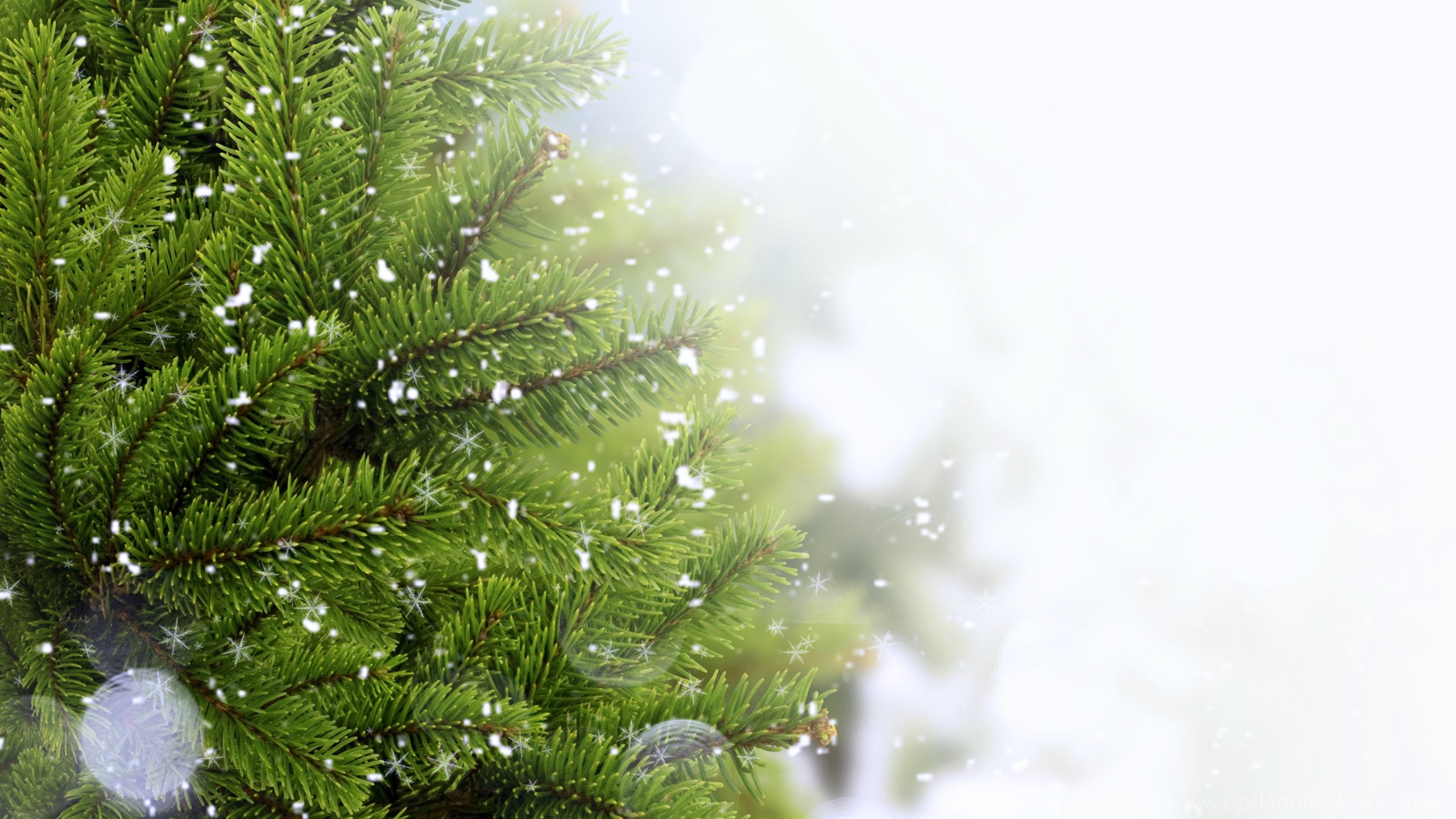 6 size x iphone iphone Christmas Snow Tree, Download 3840x2400 Wallpapers