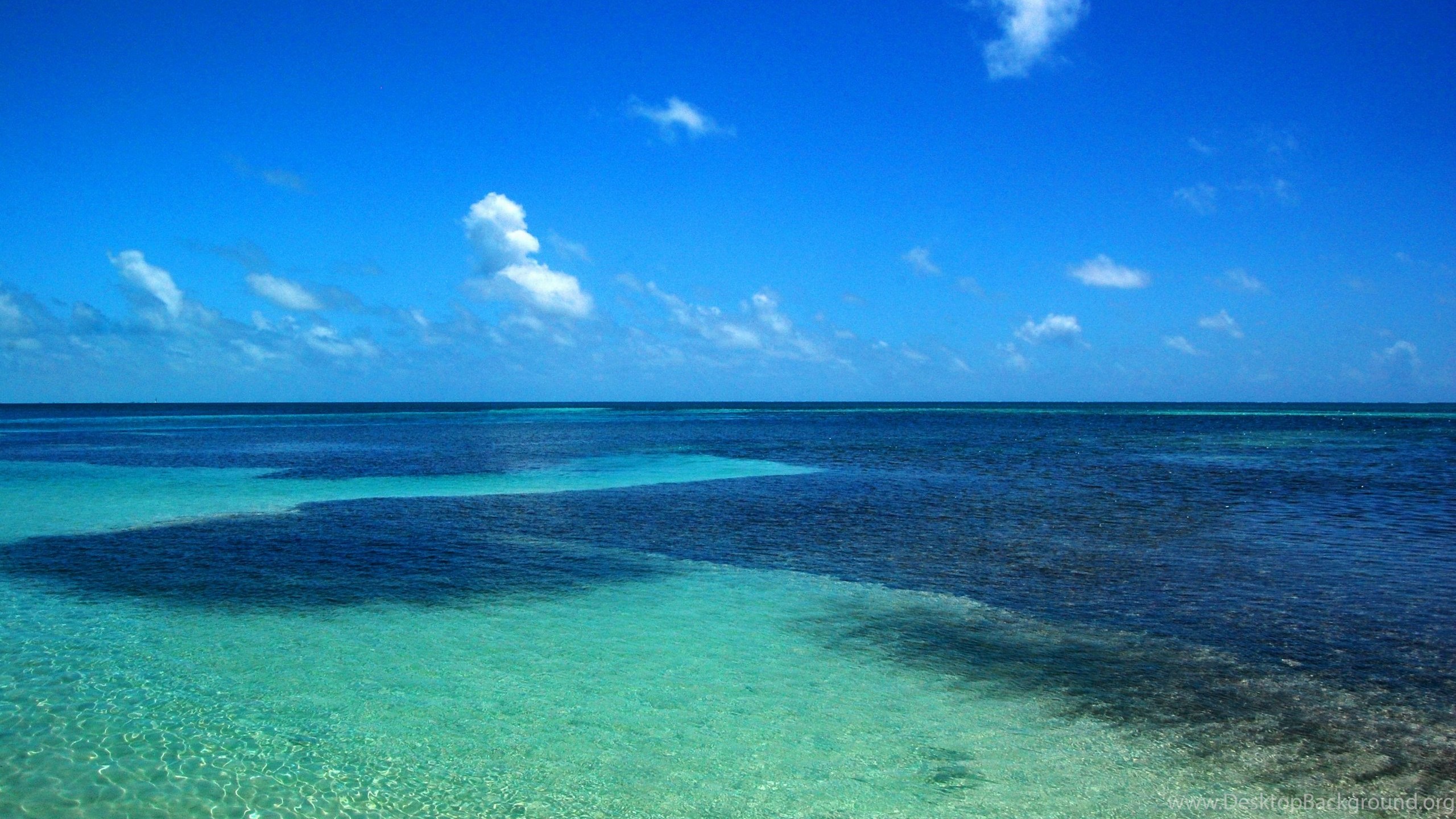 Belize Flag Wallpaper. Desktop Background