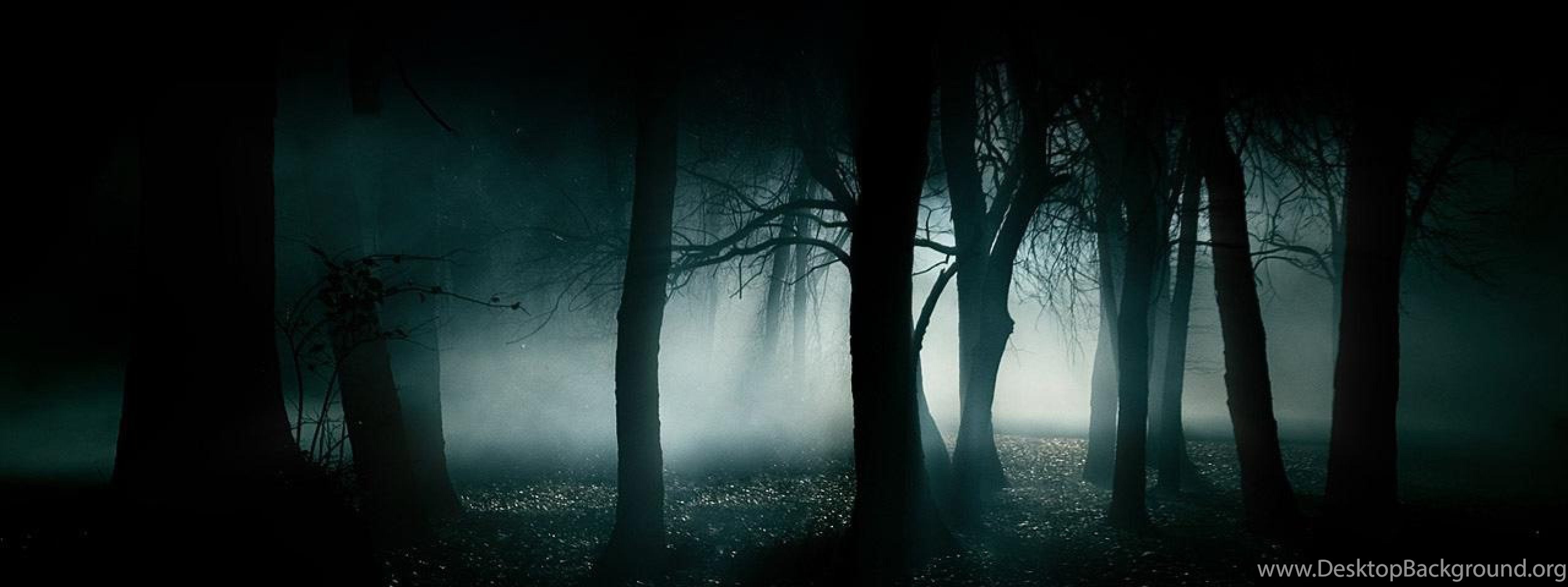 Creepy Forest Wallpapers HD : Other Wallpapers Kokean.com Desktop ...