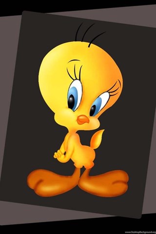 Tweety Wallpapers Hd Images & Pictures Desktop Background