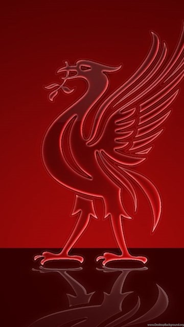 Liverpool Bird 1600×900 Liverpool Wallpapers In Football Style ...