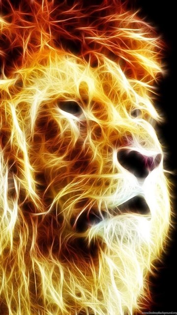 Neon Glowing Lion Wallpapers Digital Art Wallpapers Desktop Background