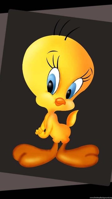 Tweety Wallpapers Hd Images & Pictures Desktop Background