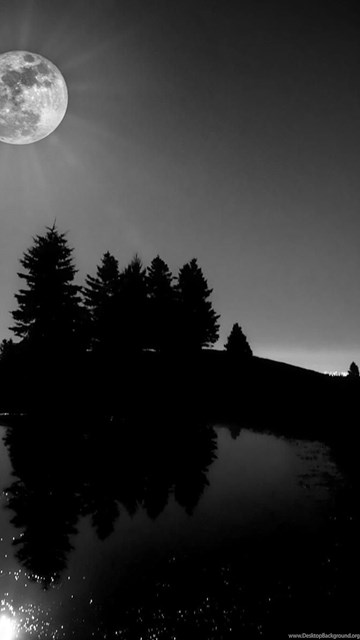 Nature & Landscape Black And White Moon Light Wallpaper. Black And ...