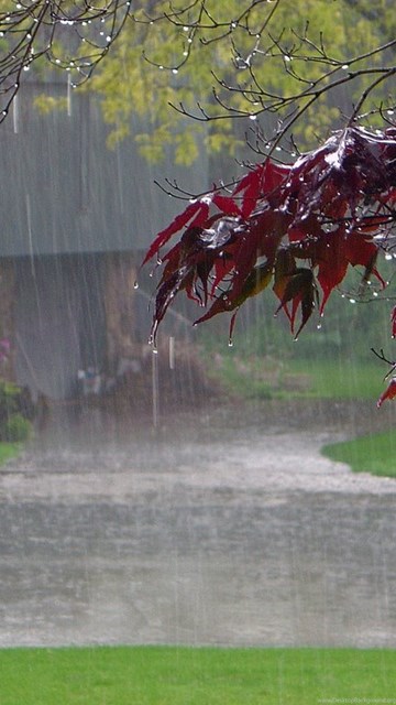 Beautiful Rain Hd Wallpapers For Desktop Desktop Background