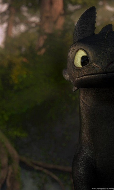 How To Train Your Dragon Wallpapers Toothless 13 Widescreen