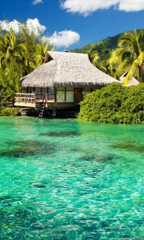 Overwater Bungalows Hd Desktop Wallpapers : Widescreen : High 