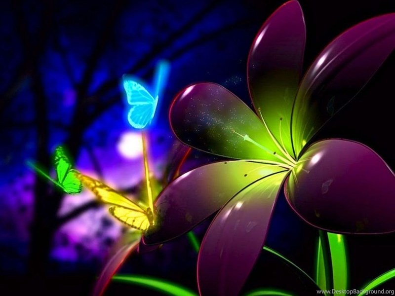 3d Flower For Android Wallpaper Desktop Hd Wallpapers Download Desktop Background