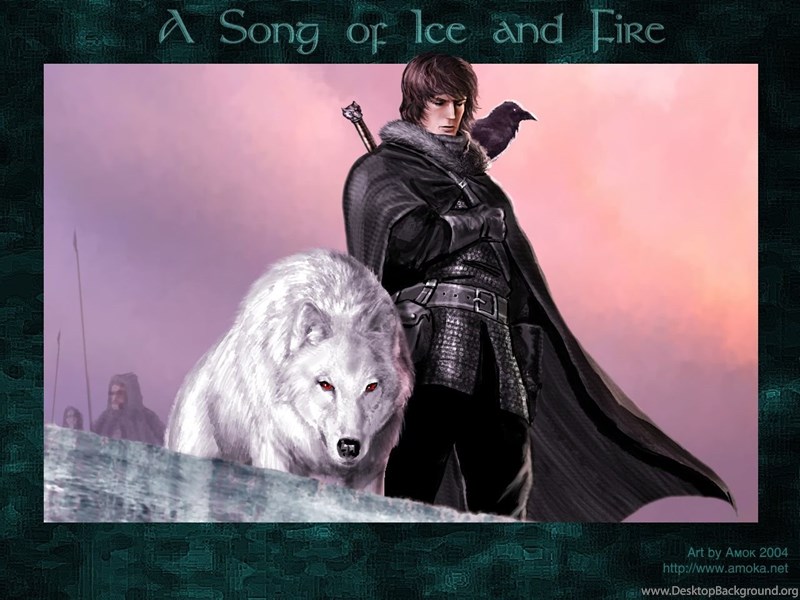 Jon Snow Ghost A Song Of Ice And Fire Wallpapers Desktop Background