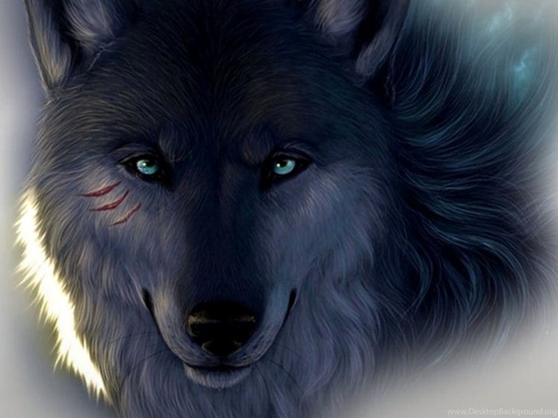 Wallpapers Wolves Screensavers Free Play Games And Send Ecards ...