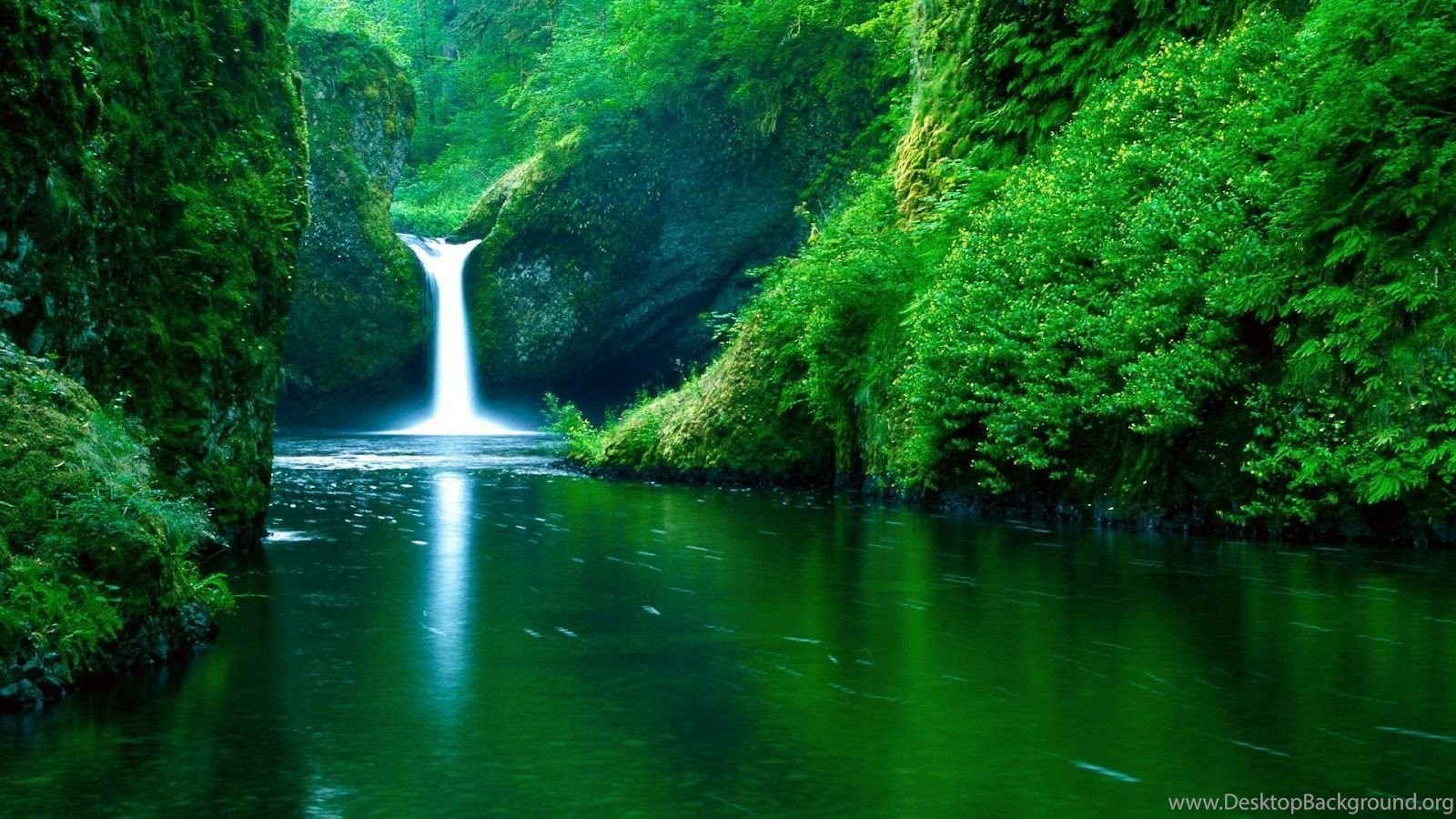 Waterfall Forest Green Full Hd Nature Background Wallpaper For